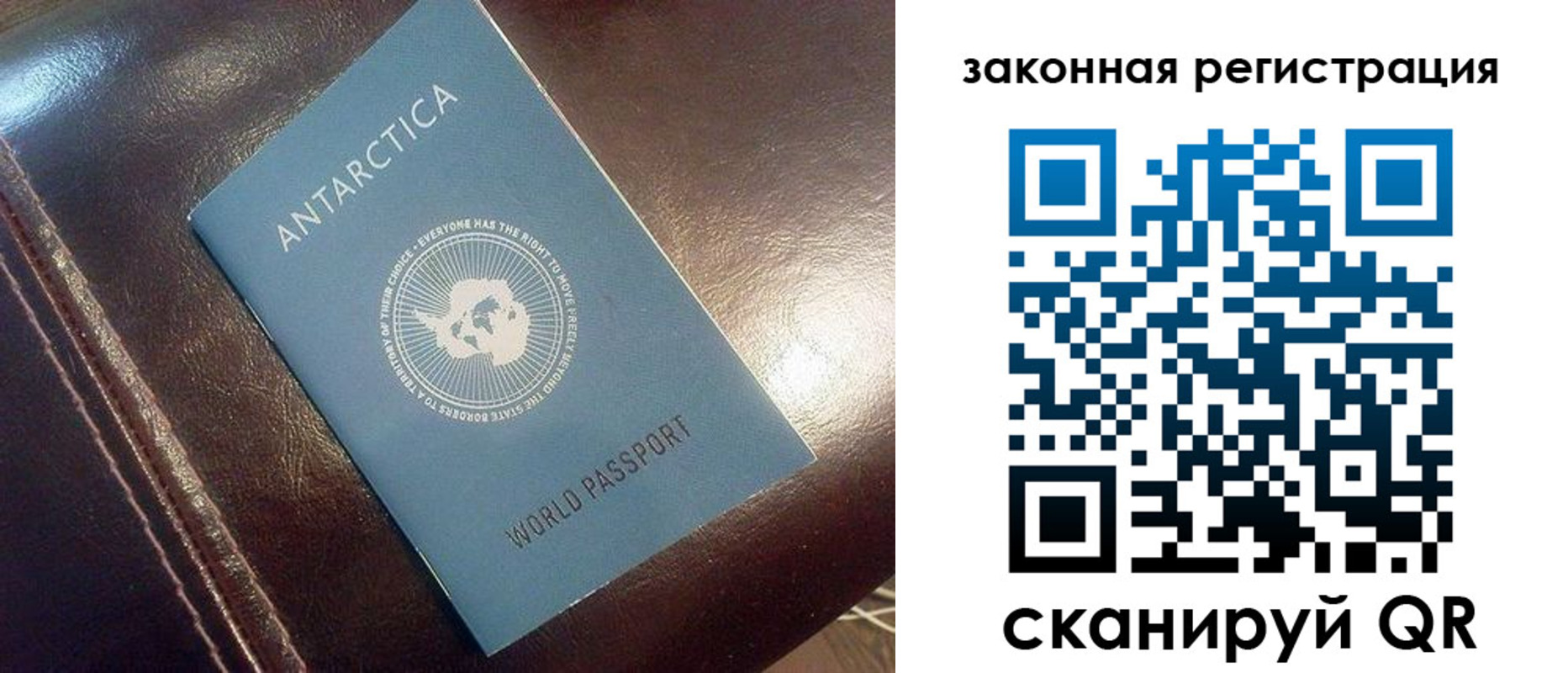 временная регистрация поиск в Химках